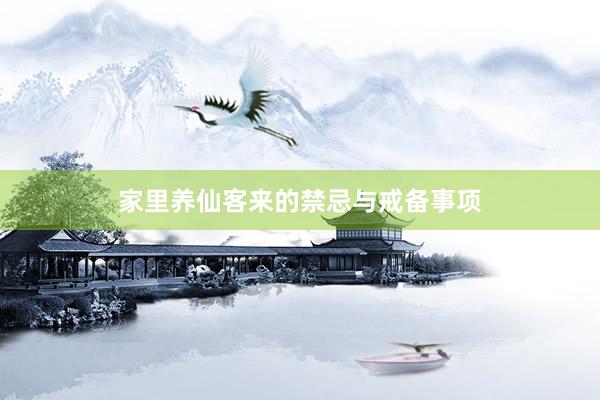 家里养仙客来的禁忌与戒备事项